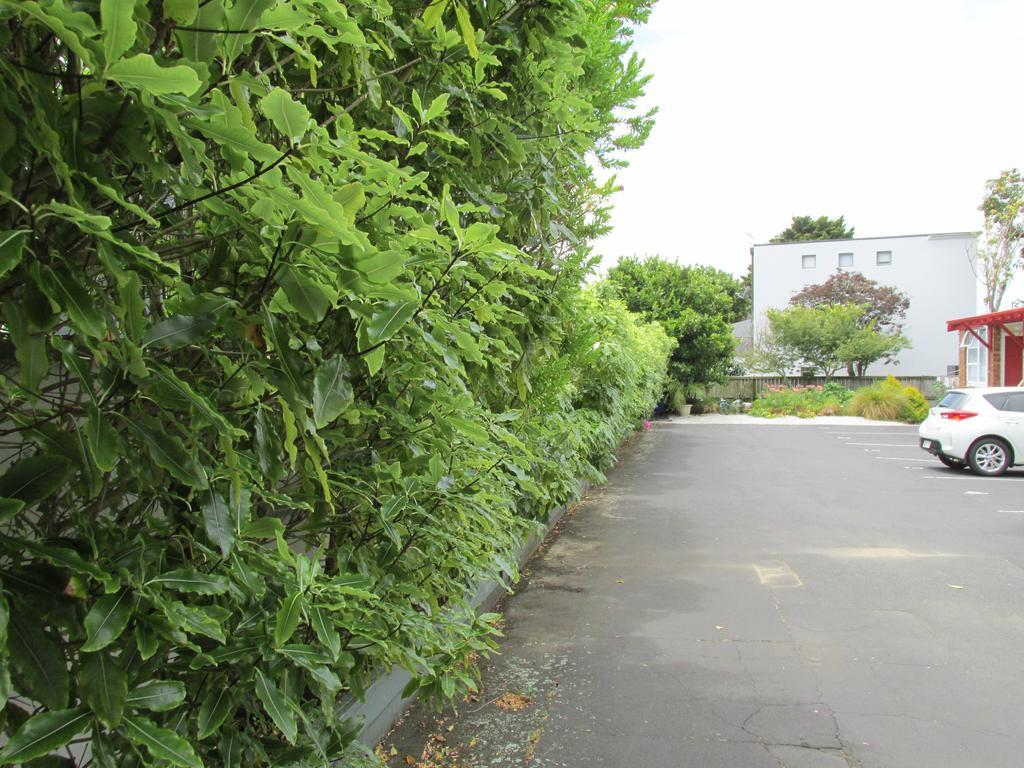 Dilworth Motel Auckland Zewnętrze zdjęcie